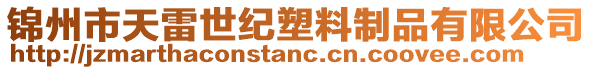 錦州市天雷世紀塑料制品有限公司