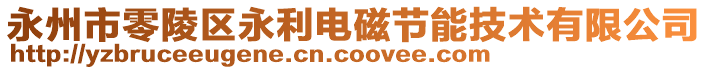 永州市零陵區(qū)永利電磁節(jié)能技術(shù)有限公司