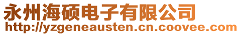 永州海碩電子有限公司