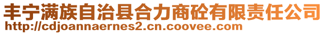 豐寧滿族自治縣合力商砼有限責(zé)任公司