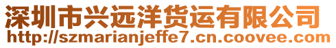 深圳市興遠洋貨運有限公司