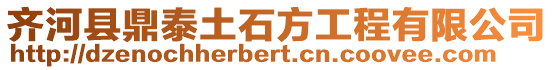 齊河縣鼎泰土石方工程有限公司