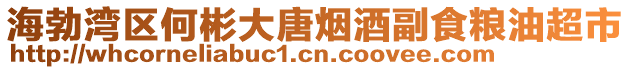 海勃灣區(qū)何彬大唐煙酒副食糧油超市
