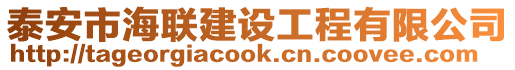 泰安市海聯建設工程有限公司