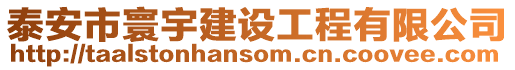泰安市寰宇建設(shè)工程有限公司