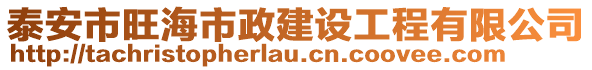 泰安市旺海市政建設(shè)工程有限公司