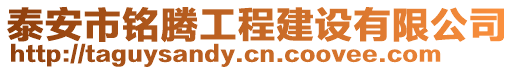 泰安市銘騰工程建設有限公司