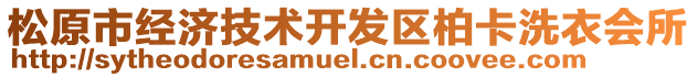 松原市經濟技術開發區柏卡洗衣會所