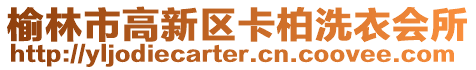 榆林市高新區(qū)卡柏洗衣會(huì)所
