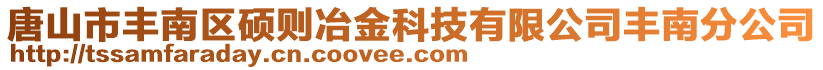 唐山市豐南區(qū)碩則冶金科技有限公司豐南分公司