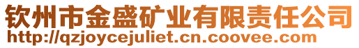 欽州市金盛礦業(yè)有限責(zé)任公司