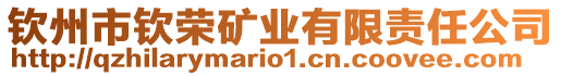 欽州市欽榮礦業有限責任公司