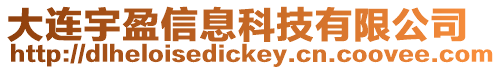 大連宇盈信息科技有限公司