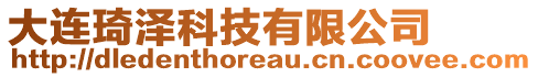 大連琦澤科技有限公司