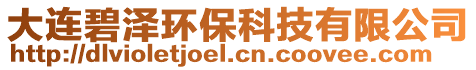 大連碧澤環(huán)保科技有限公司