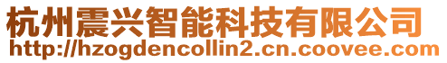 杭州震興智能科技有限公司
