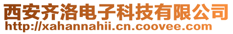 西安齊洛電子科技有限公司