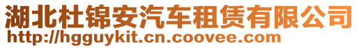 湖北杜錦安汽車租賃有限公司