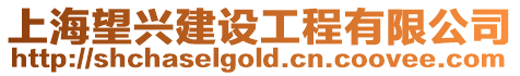 上海望興建設(shè)工程有限公司