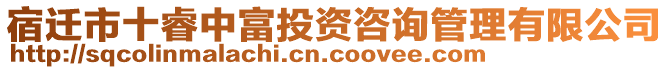 宿遷市十睿中富投資咨詢管理有限公司