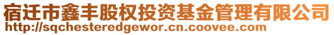 宿遷市鑫豐股權(quán)投資基金管理有限公司