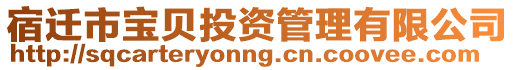 宿遷市寶貝投資管理有限公司