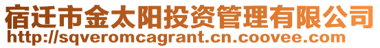 宿遷市金太陽投資管理有限公司