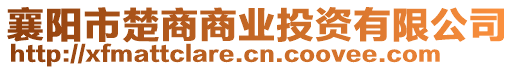 襄陽市楚商商業(yè)投資有限公司