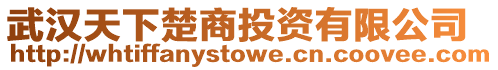 武漢天下楚商投資有限公司