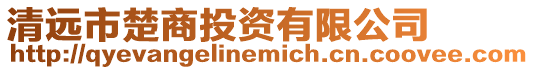 清遠市楚商投資有限公司