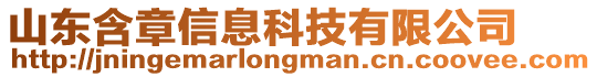 山東含章信息科技有限公司