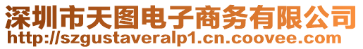 深圳市天圖電子商務(wù)有限公司