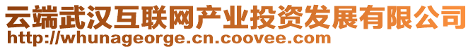 云端武漢互聯(lián)網(wǎng)產(chǎn)業(yè)投資發(fā)展有限公司