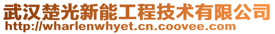 武漢楚光新能工程技術有限公司