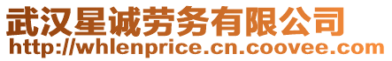 武漢星誠勞務有限公司