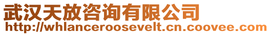 武漢天放咨詢有限公司