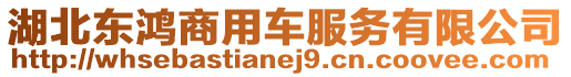 湖北東鴻商用車服務(wù)有限公司