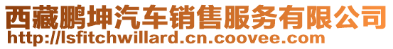 西藏鵬坤汽車銷售服務有限公司