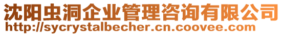 沈陽蟲洞企業管理咨詢有限公司