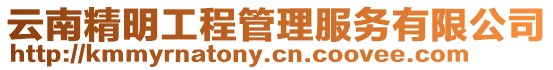 云南精明工程管理服務有限公司