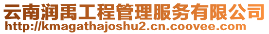 云南潤禹工程管理服務有限公司