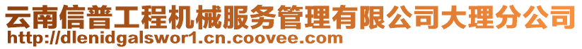 云南信普工程機械服務管理有限公司大理分公司
