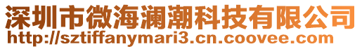 深圳市微海瀾潮科技有限公司