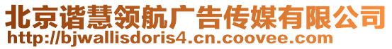 北京諧慧領(lǐng)航廣告?zhèn)髅接邢薰? style=