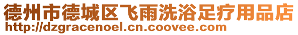 德州市德城區飛雨洗浴足療用品店