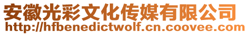 安徽光彩文化傳媒有限公司