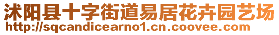 沭陽縣十字街道易居花卉園藝場