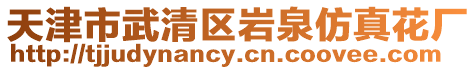 天津市武清區(qū)巖泉仿真花廠