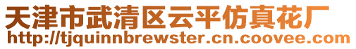 天津市武清區云平仿真花廠