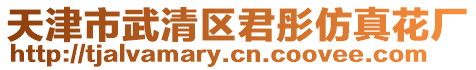 天津市武清區君彤仿真花廠